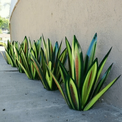 Ryan - Agave Garden Light