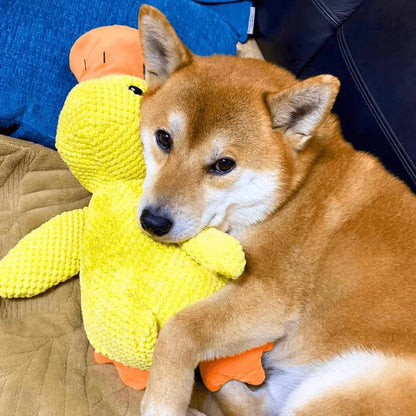 Dakki - Calming Duck Toy