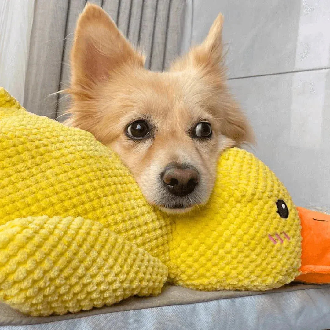 Dakki - Calming Duck Toy
