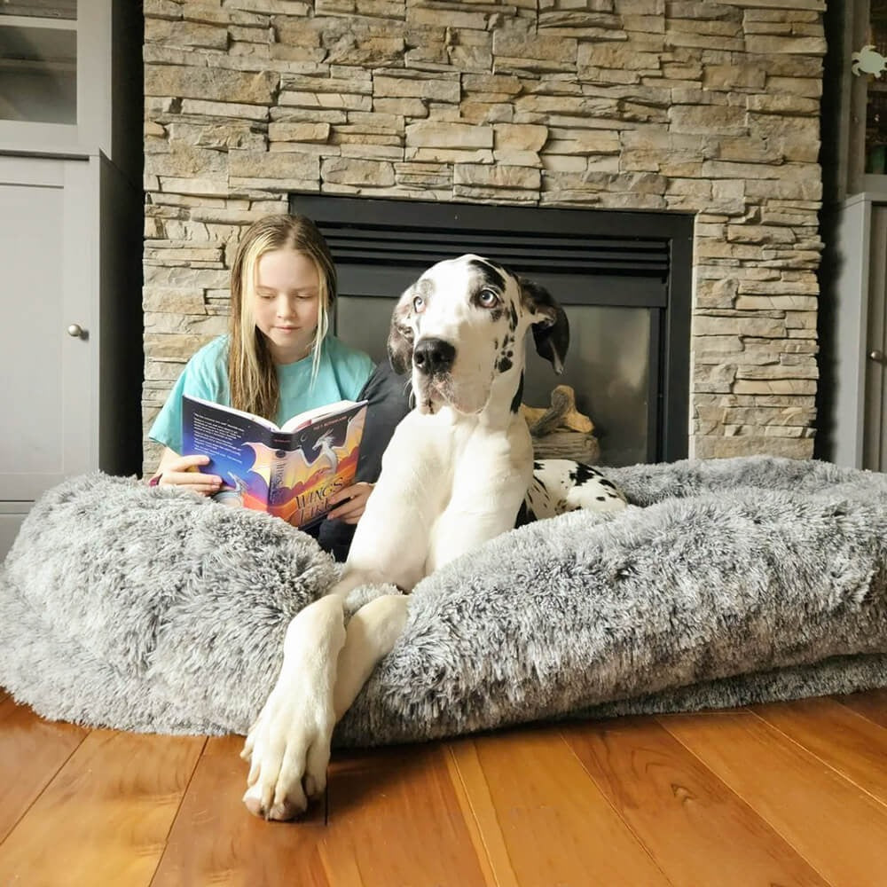 Eman - Orthopedic Donut Dog Bed