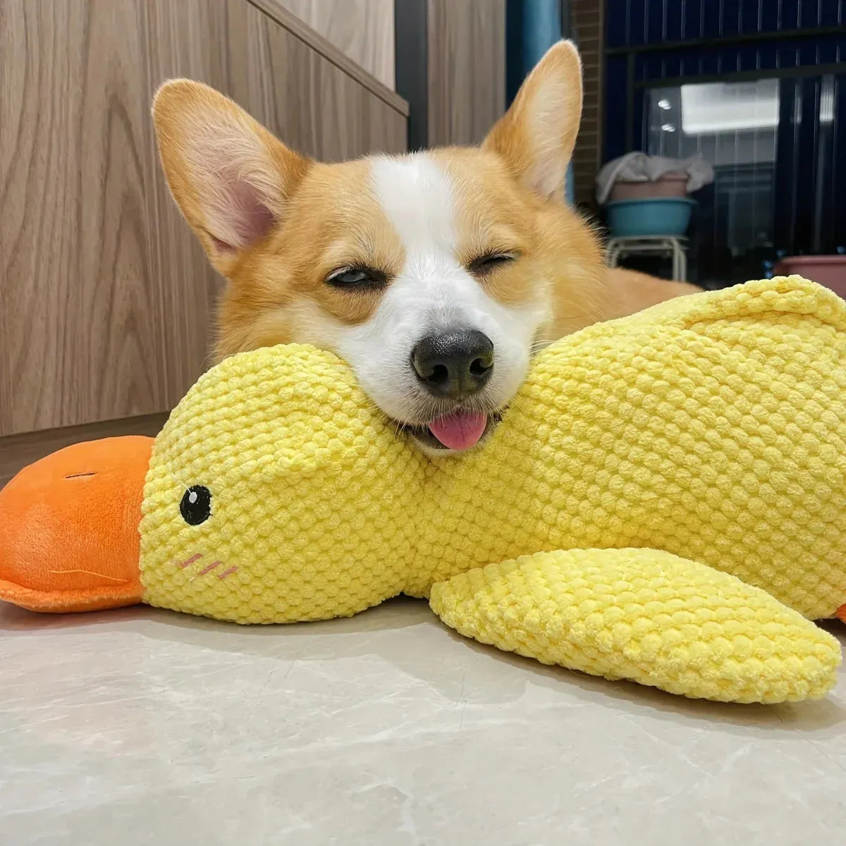 Dakki - Calming Duck Toy