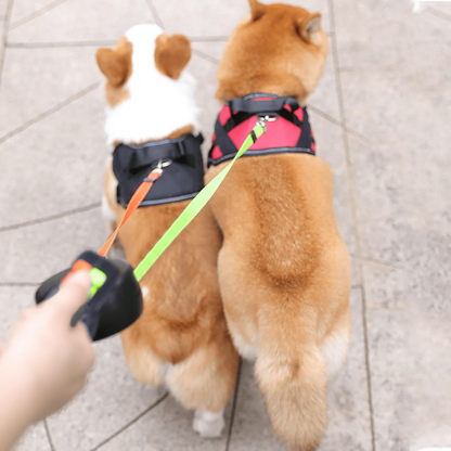 Jackson - Tangle-Free Double Dog Leash